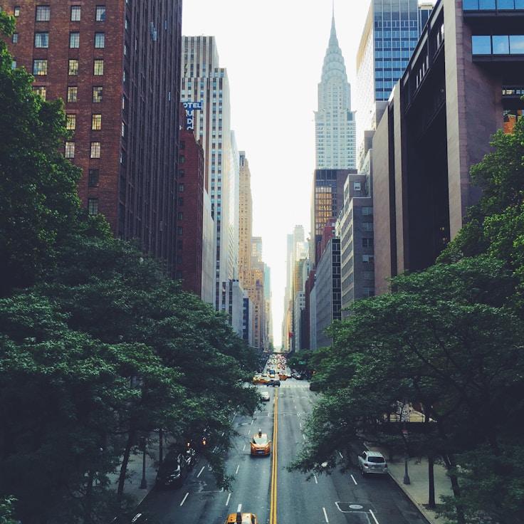 Family routine and school logistics in Mountain View